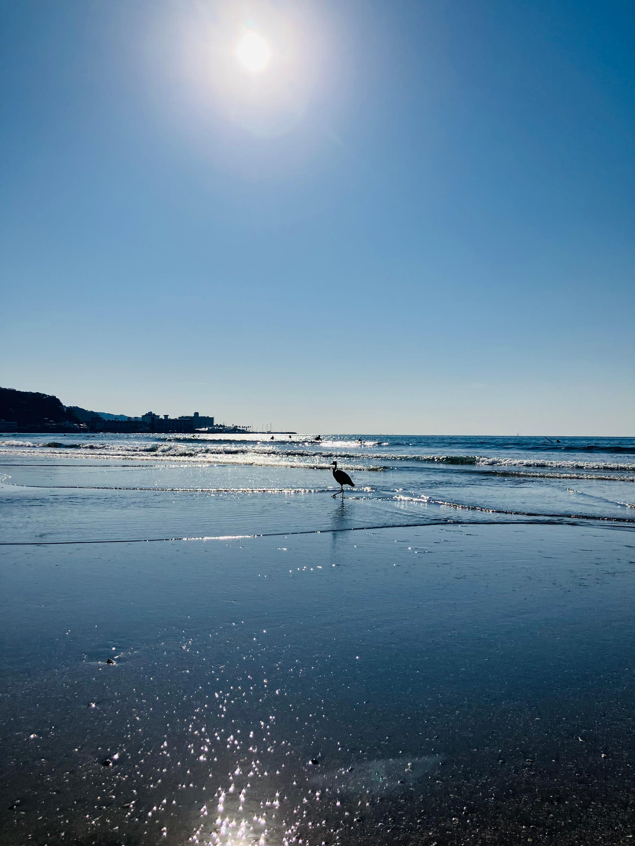桜貝のピンキーリング | 6枚目